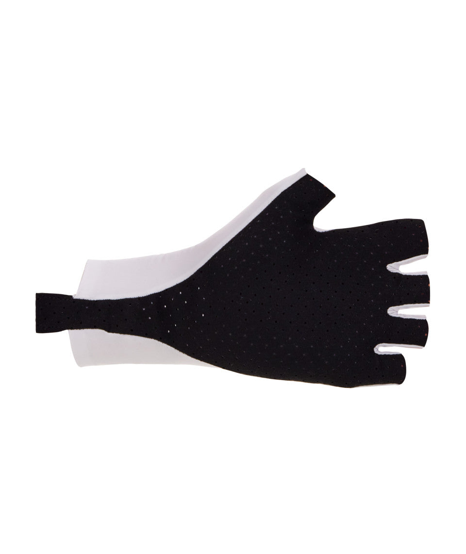 GANTS MADSS   SP371TTMADSS       2026