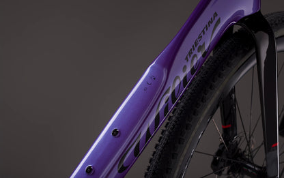 E628VYJ (with alloy STEMMA S2  )   	V12 Neon Purple  Glossy SRAM RIVAL XPLR AXS E1 1x13S	MICHE GRAFF ALLROAD  2026